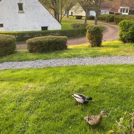 Le Nid Du Cygne Apartment Houlle